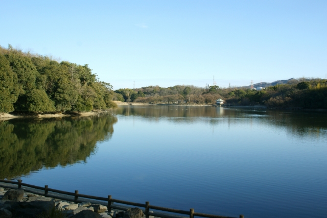 晴れた日の山田池公園の写真。山田池が空の色を映して青く写っています。