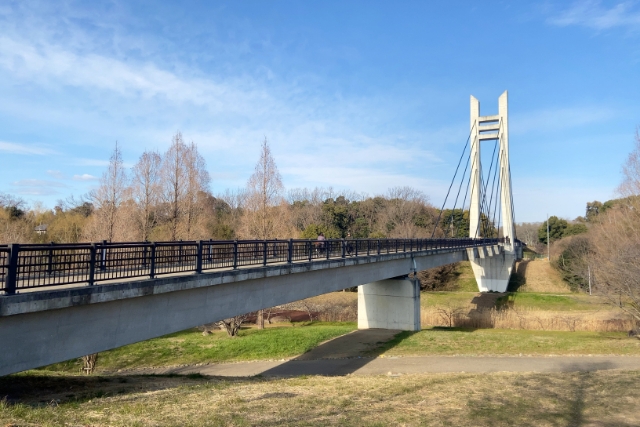 晴れた日の山田池公園の様子。手前に橋が見えます。
