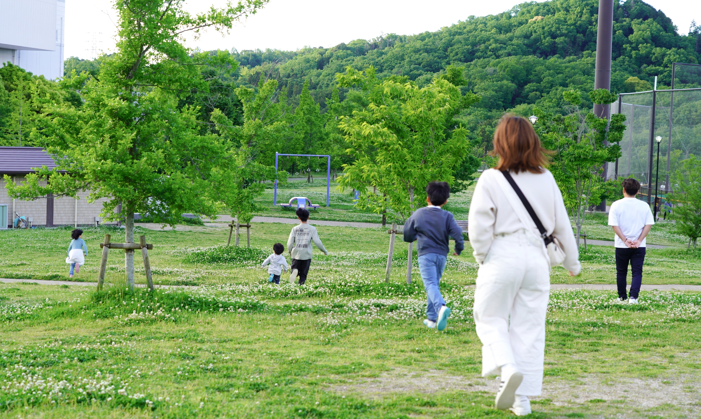 市民の森の鯉のぼり